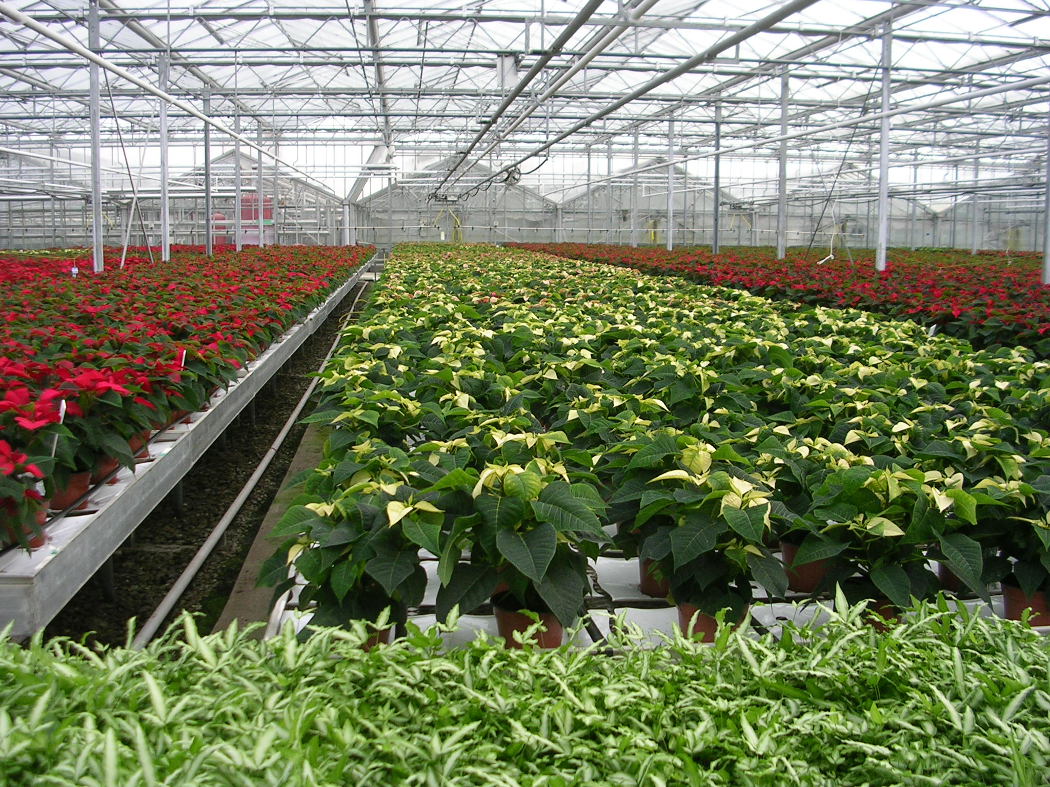 The Commercial Horticultural Association (CHA) - Agritech UK